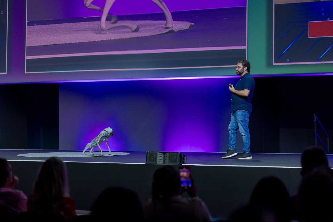 Benjamin Rosman robotic dog