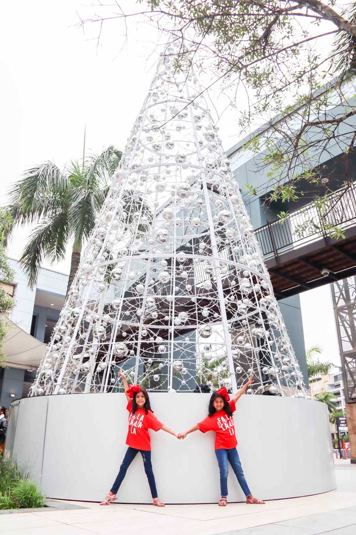 Gateway Festive season 1