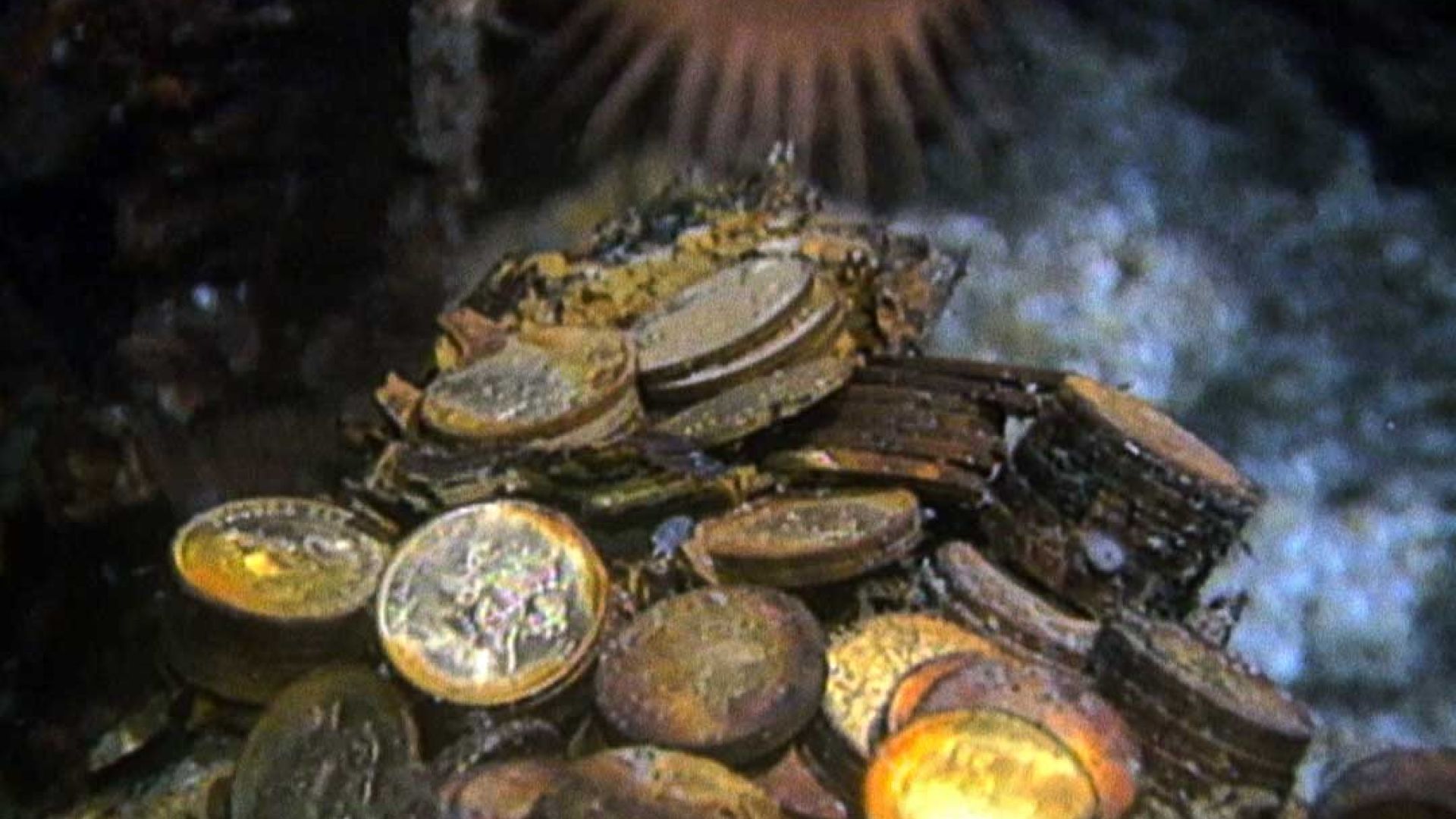 Cursed Gold: A Shipwreck Scandal, Premieres on Nat Geo This September